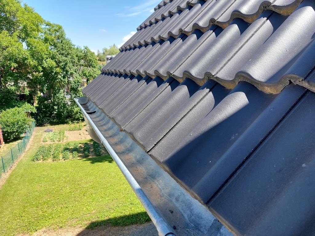 RinServ Rinne Reinigung Ug (haftungsbeschränkt)