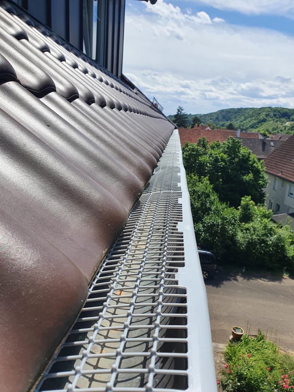 SP Dach und Fassadenreinigung