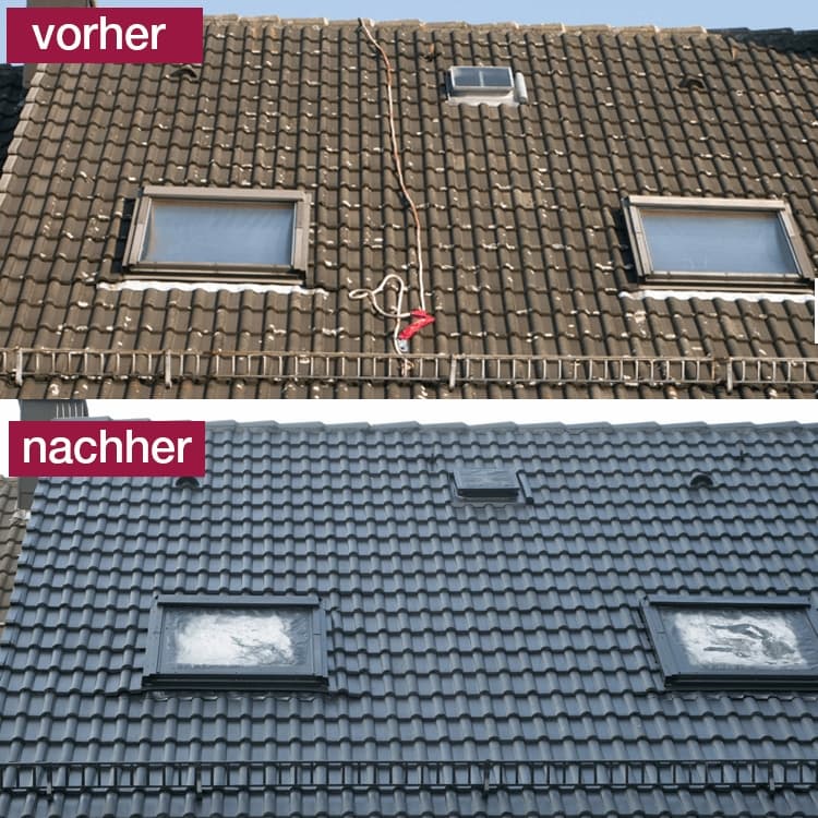 Dach und Fassadengestaltung Laakmann