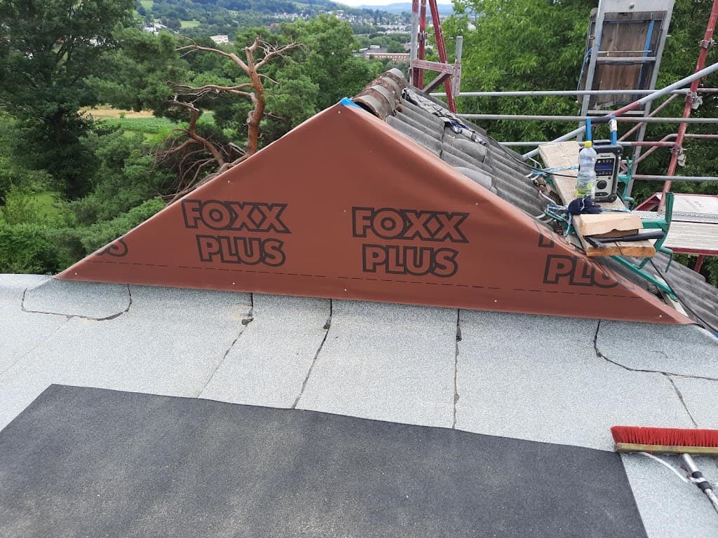DachService Freiburg | Dachreparatur & Dachreinigung