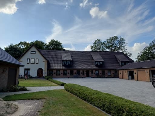 MS Dach GmbH Dachreinigung Dachbeschichtung Dachrinnenreinigung — Kundenfoto