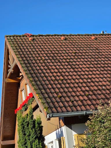 Alici Bautenschutz - Dachreinigung, Dachbeschichtung & Fassadenreinigung — Kundenfoto