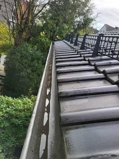 Dachrinnenreinigung BBS Express — Kundenfoto