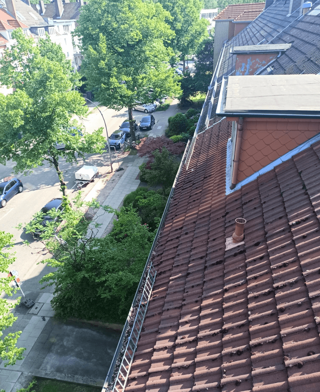 Dachrinnenreinigung Berlin ⎪Dachrinnen Reinigungs Helden