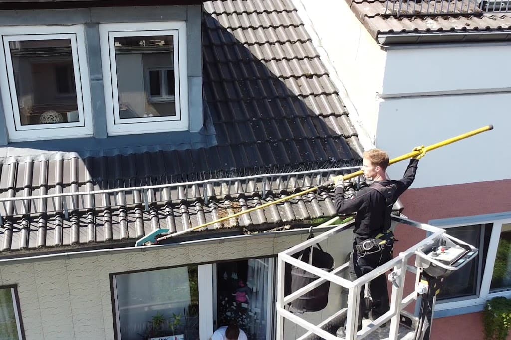 Die Dachrinnenreiniger