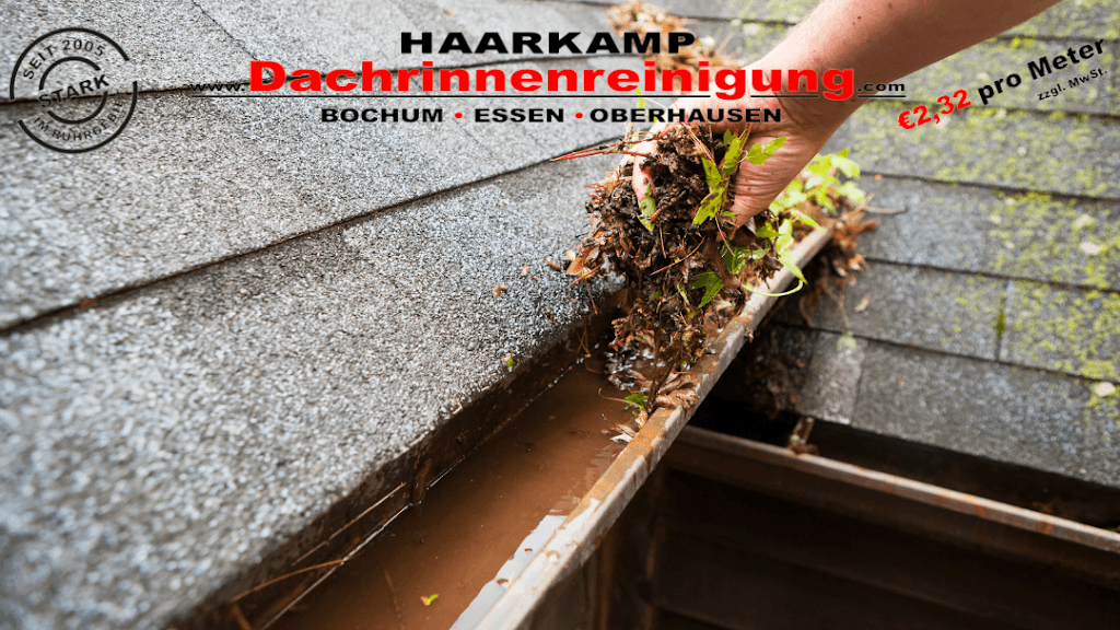 Dachrinnenreinigung Haarkamp