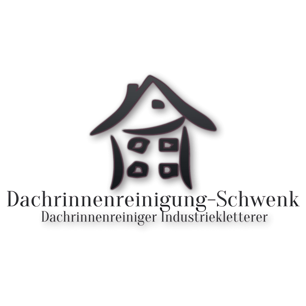 Dachrinnenreinigung Schwenk