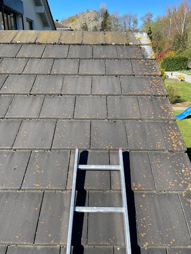 DISE Cleaning – Gebäudereinigung Dortmund — Kundenfoto